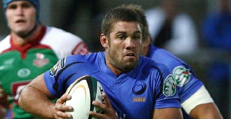 Hodgson: Staying put at Western Force