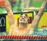 Adrian Moorhouse: Won Olympic breaststroke gold in Seoul in 1988