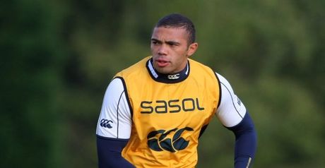 Habana: Long season