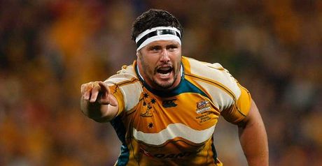 Baxter: Hailed Wallabies
