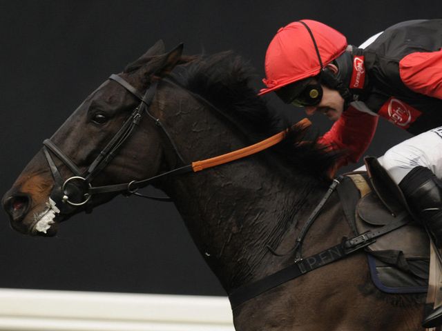 Gwanako: Twice a winner at Sandown