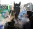 Hurricane Fly (IRE)