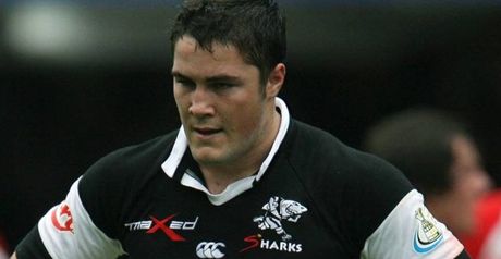 Barritt: Sharks return