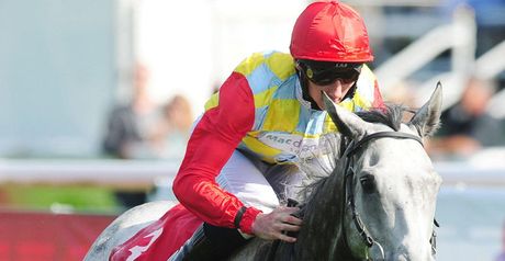 Nanton: Has been running well all season