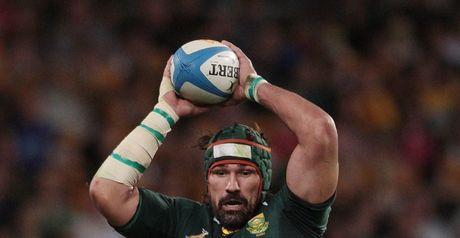 Matfield: cleared of foul play