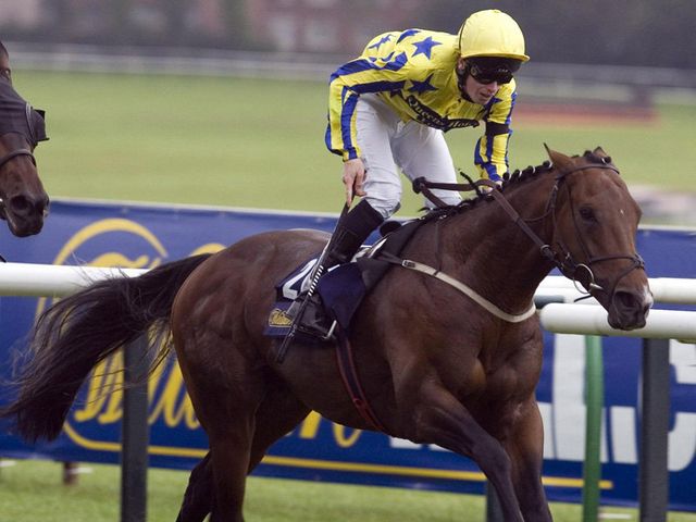 Kaloun Kingdom: Richard Fahey's charity bet