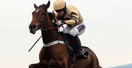 Tidal Bay - cuold take his chance in the Grand National.