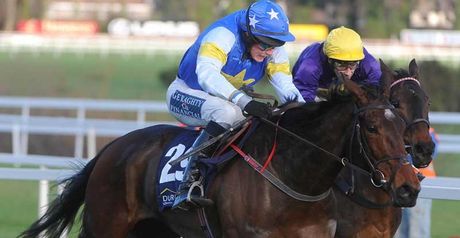 Voler La Vedette (near side): Misses Cheltenham