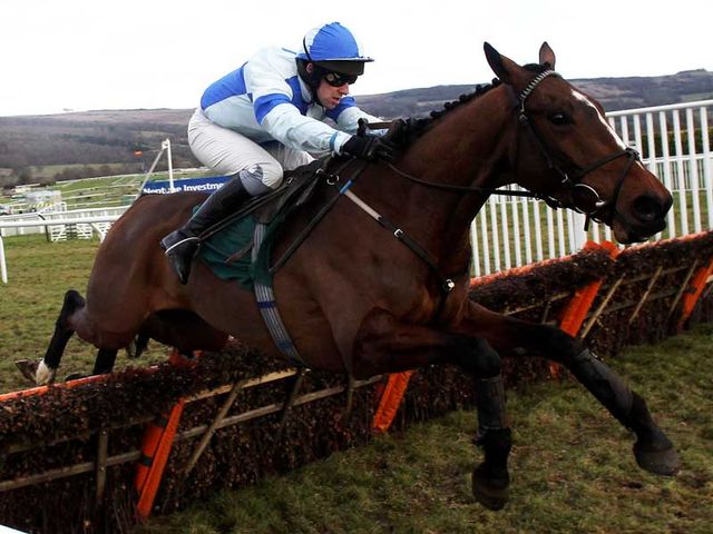 Restless Harry: Reverts to chasing at Ascot on Friday
