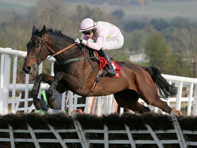 Arvika Ligeonniere: Drinmore Novices Chase entry