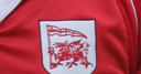 Promotion blow for Welsh
