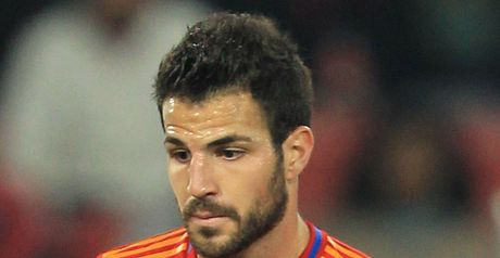 Cesc Fabregas: Has returned to training following his recent injury
