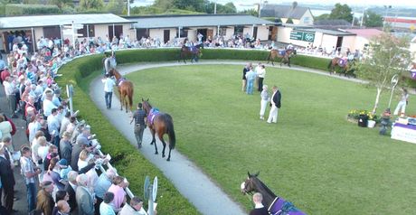Wexford: Tuesday card in doubt