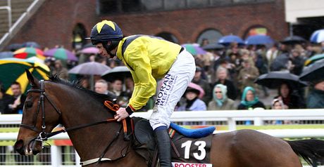 Shinrock Paddy: Up in class