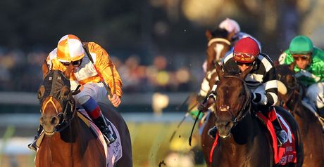 Dangerous Midge is a contender for the Dubai Sheema Classic.