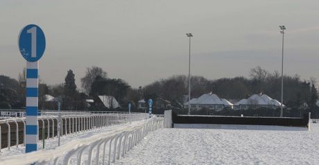 Kempton: Needs to beat the snow to race on Saturday