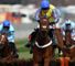 Peddlers Cross (IRE)
