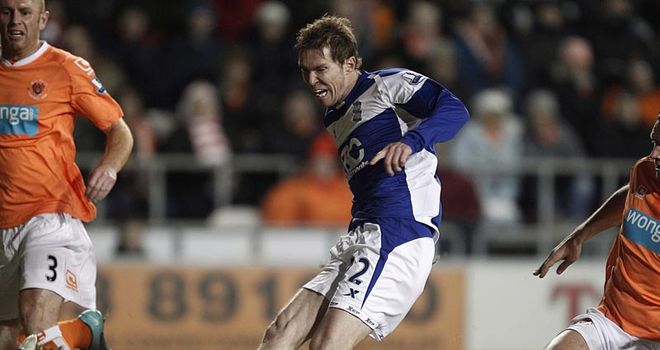 Alexander Hleb: Enjoyed a loan spell with Birmingham in Premier League