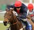 Bobs Worth (IRE)