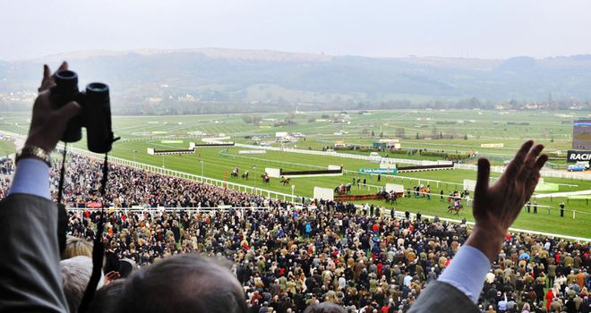 Trading Cheltenham