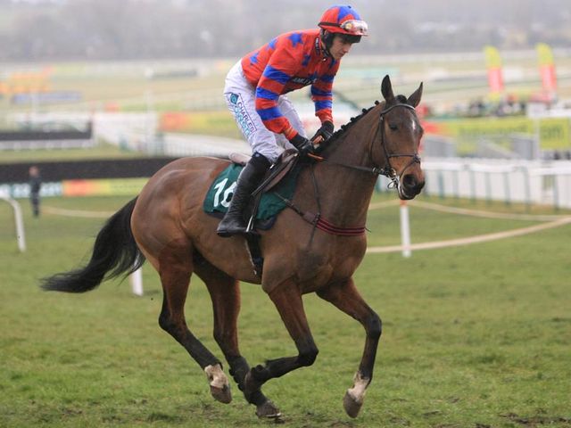 Balthazar King: Could head to Newbury next