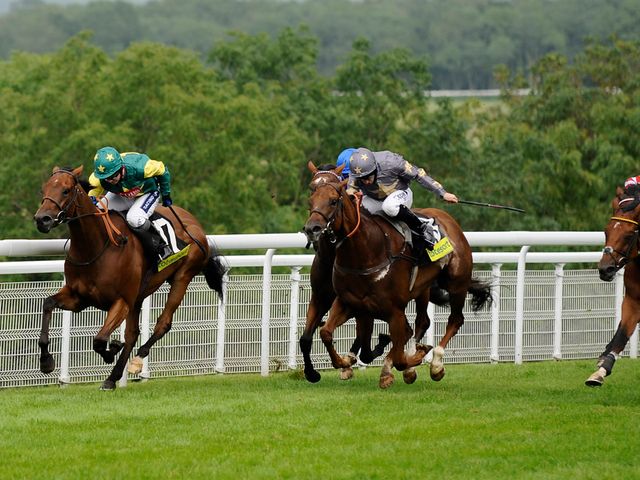 Boom And Bust: Can win at Ascot