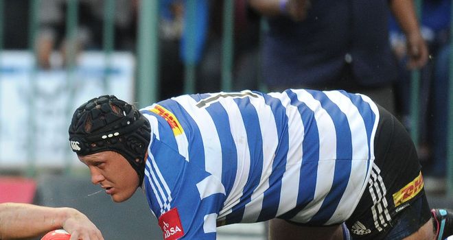 Wicus Blaauw: Has joined Biarritz for the 2012/13 season
