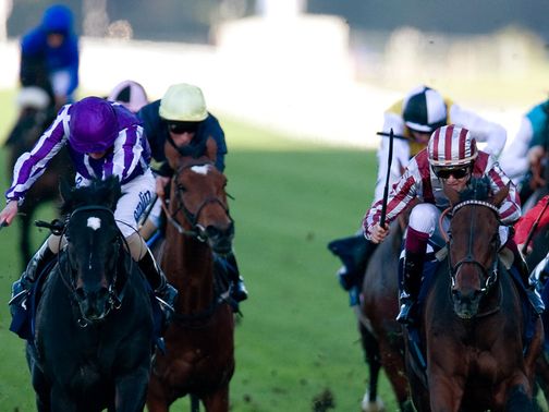 Cirrus Des Aigles (R): Winning last year
