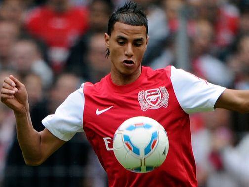 Marouane Chamakh: Tough season at Arsenal