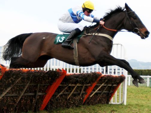 Knockara Beau: Won on Saturday