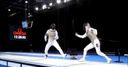 Fencing passes the test