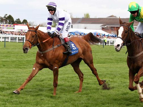 Beshabar: Grand National aim