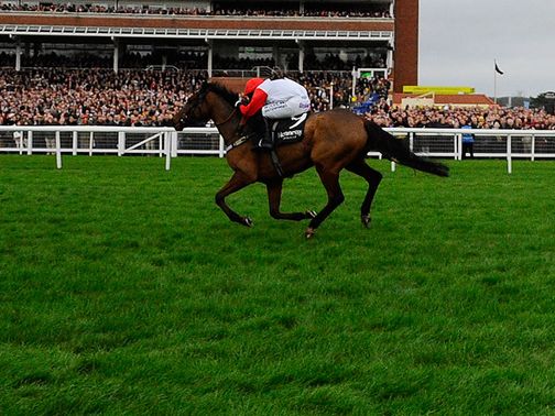 Carruthers: His fate lies in the handicapper's hands