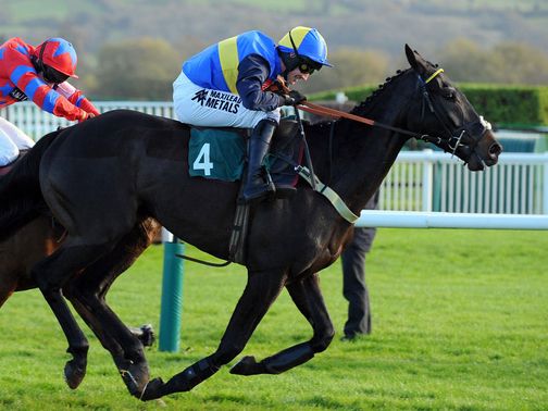 Wayward Prince is on course for the Argento
