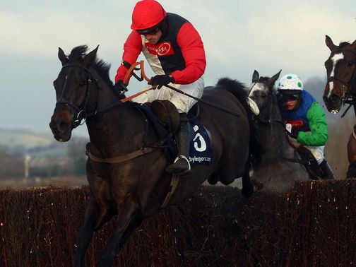 Poquelin: Heads 22 Paddy Power entries