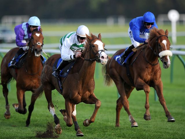Cubanita: Ran on strongly