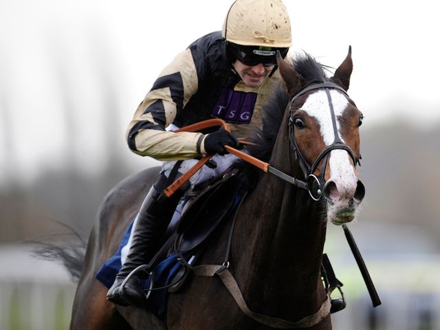 Prospect Wells: Winner of National Spirit Hurdle at Fontwell