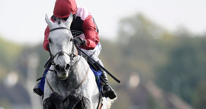 Australia Day: One of the most versatile horses in training