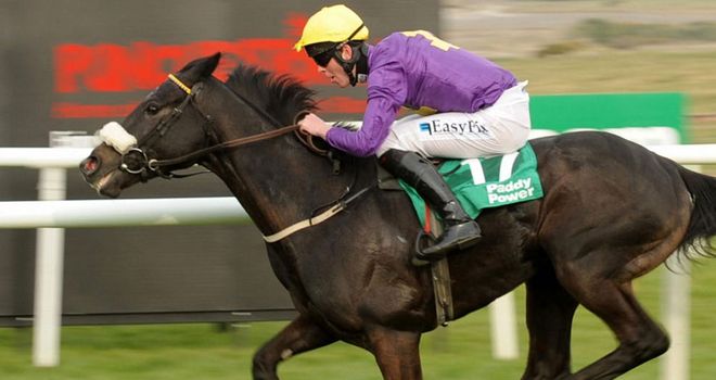 Hidden Universe: Misses Cesarewitch