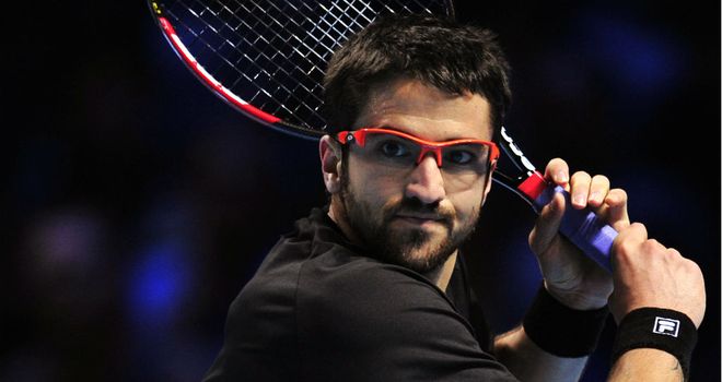 Janko Tipsarevic: Claimed first ever victory over fellow Serbian Novak Djokovic