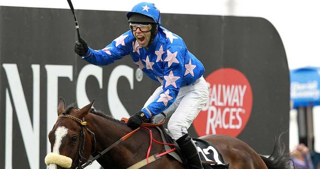 Moon Dice: Cheltenham target next weekend