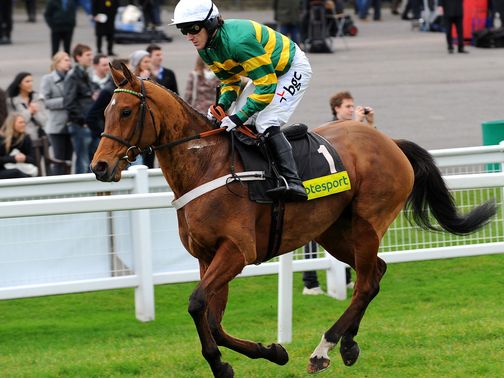 Binocular The Horse