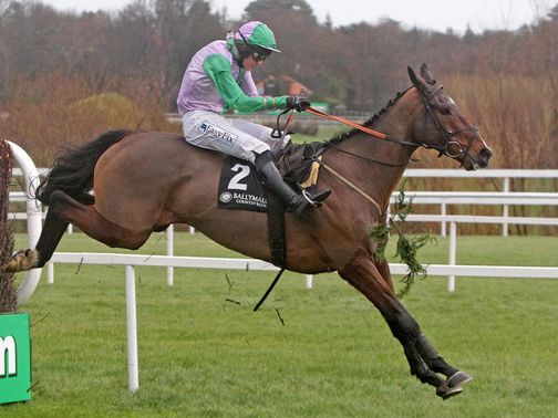 Hidden Cyclone: Trainer feeling hopeful