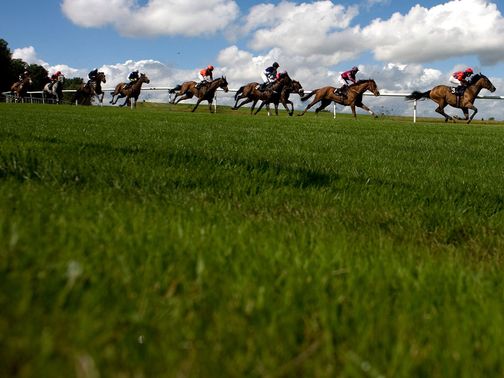 Lingfield: Inspection for Tuesday card