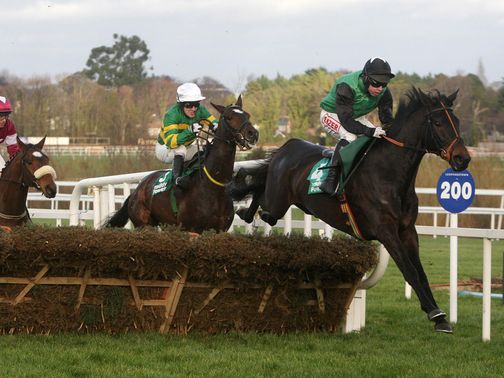 Cash And Go: Can make a winning debut for Nicky Henderson