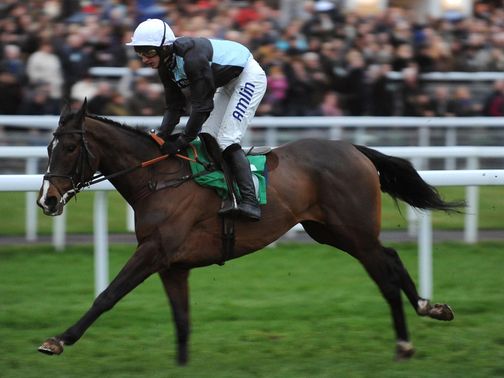 Village Vic: Has been well backed to improve from his hurdling debut