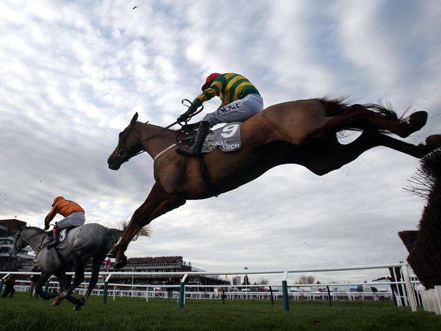 Quantitativeeasing: Cheltenham winner