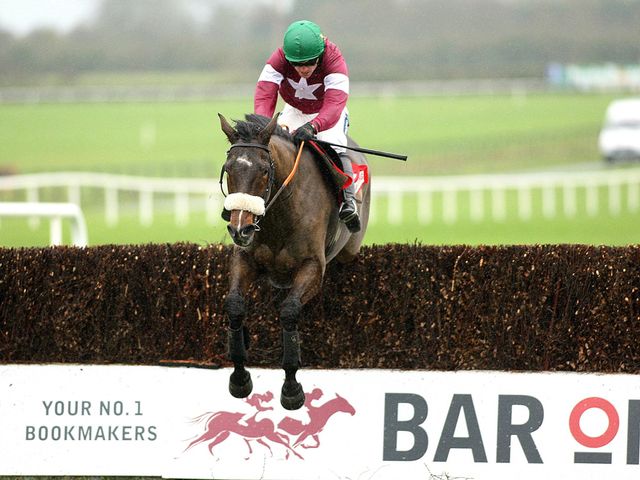 Bog Warrior: Punchestown win
