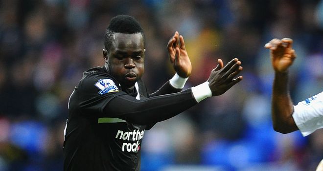 Cheick Tiote: The Newcastle midfielder has made 16 appearances for the high-flying Magpies this season