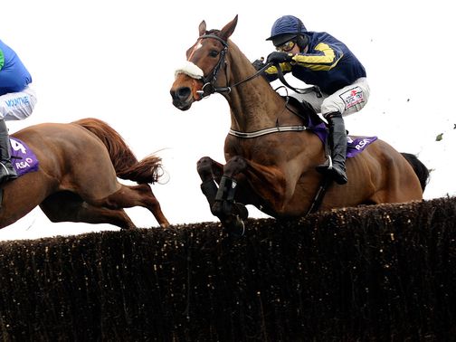 Bostons Angel: Selected to land the cross-country